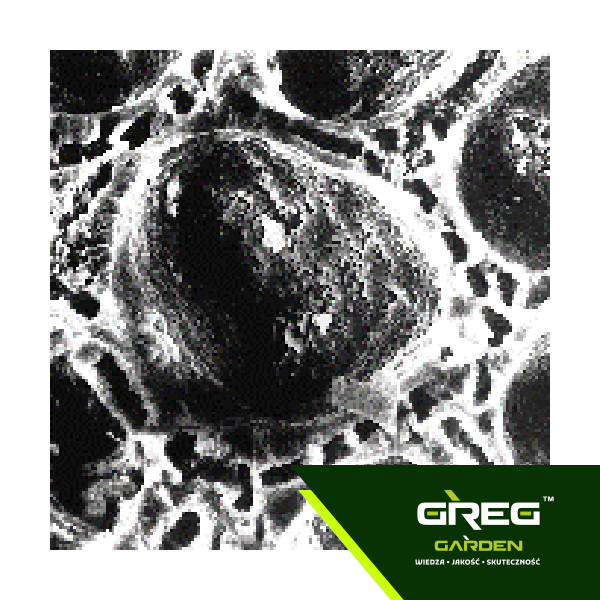 Wapno Nawozowe Granulowane do Trawnika KREDA 10kg Waga produktu z opakowaniem jednostkowym 10 kg