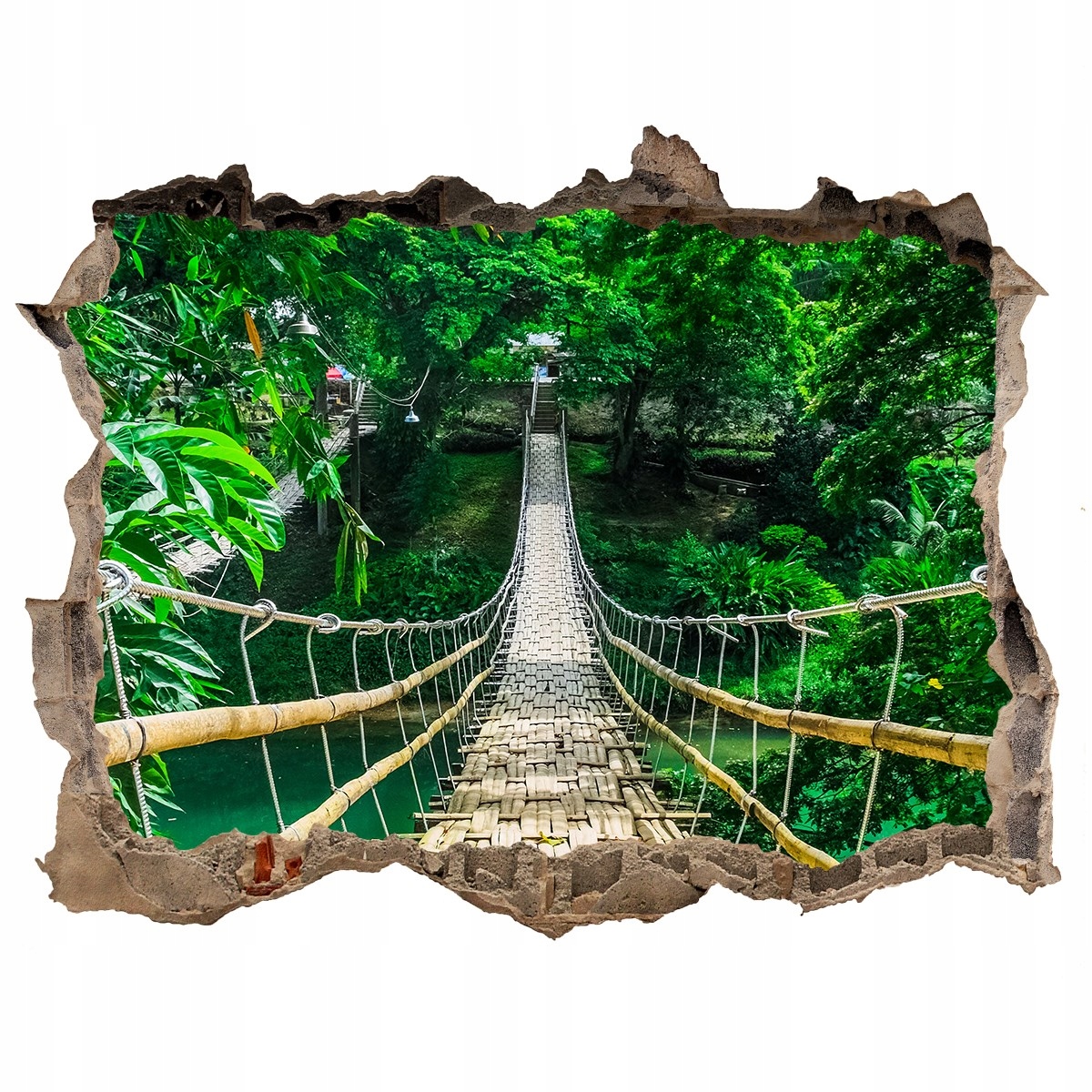 

Fototapeta dziura na ścianę 3d Most las tropikalny
