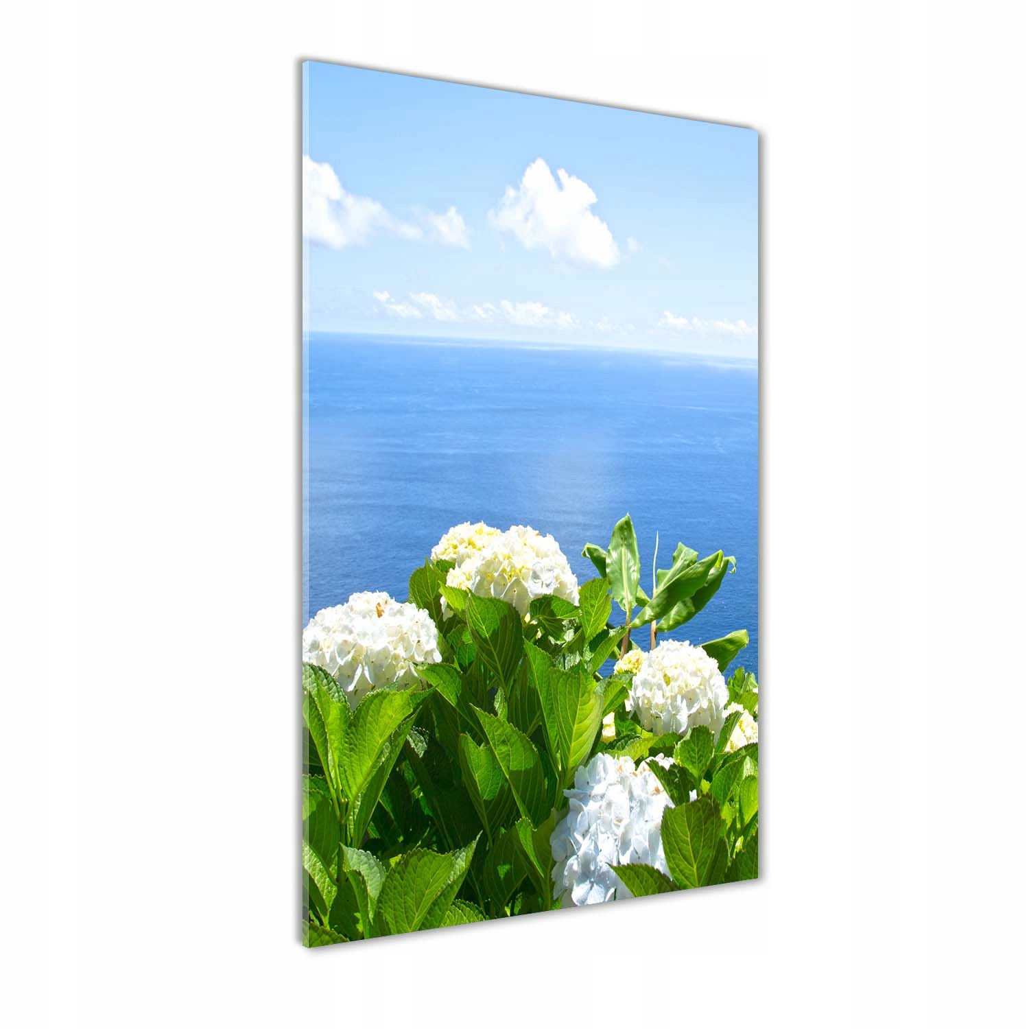 Fotoobraz sklo Hortenzie moře 50x100 cm