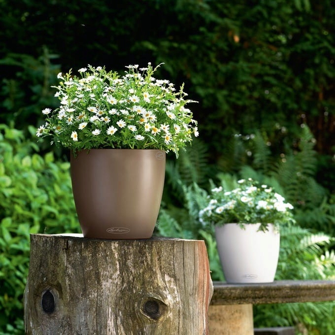 Donica Classico Color 14 biały Lechuza Długość 15 cm