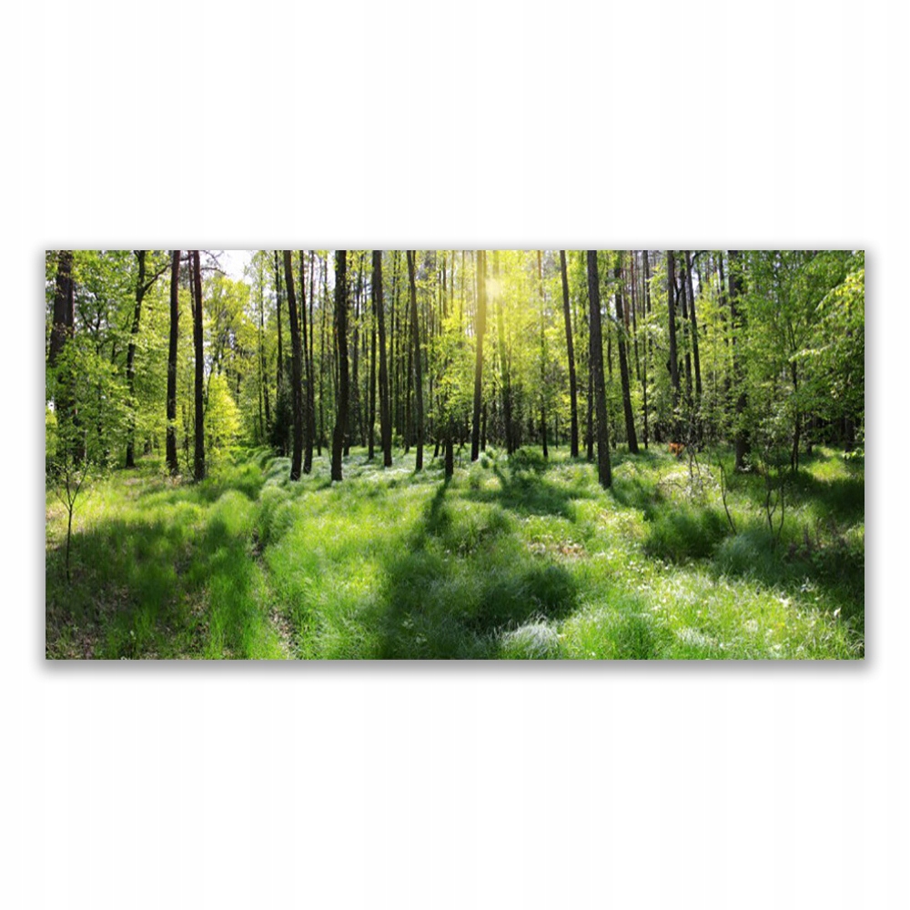 

Obraz na prezent 120x60 Las Trawa Roślina Natura