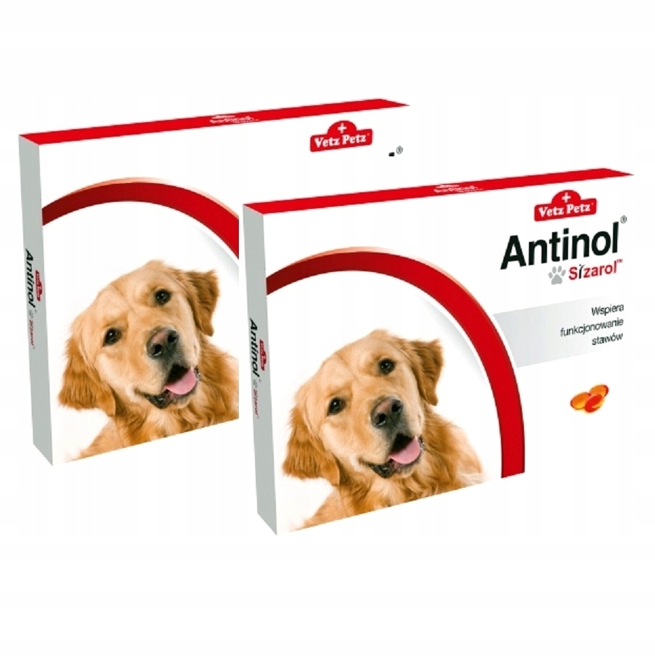 

Antinol Sizarol 30 tab. Na Stawy x 2 opakowania