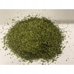 Levně Zahradní tribula (anthriscus Cerefolium) 1 Kg Rafex