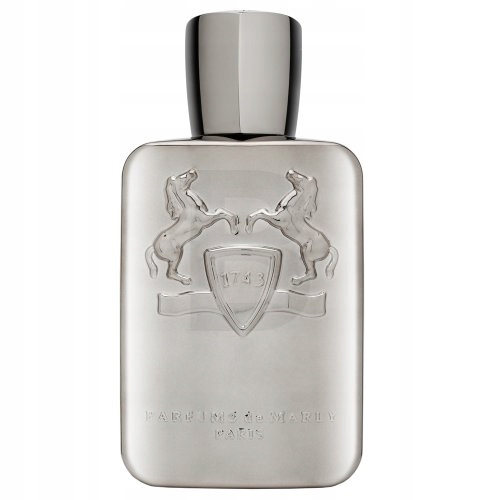 Parfums de Marly Pegasus parfémovaná voda pro muže 125 ml