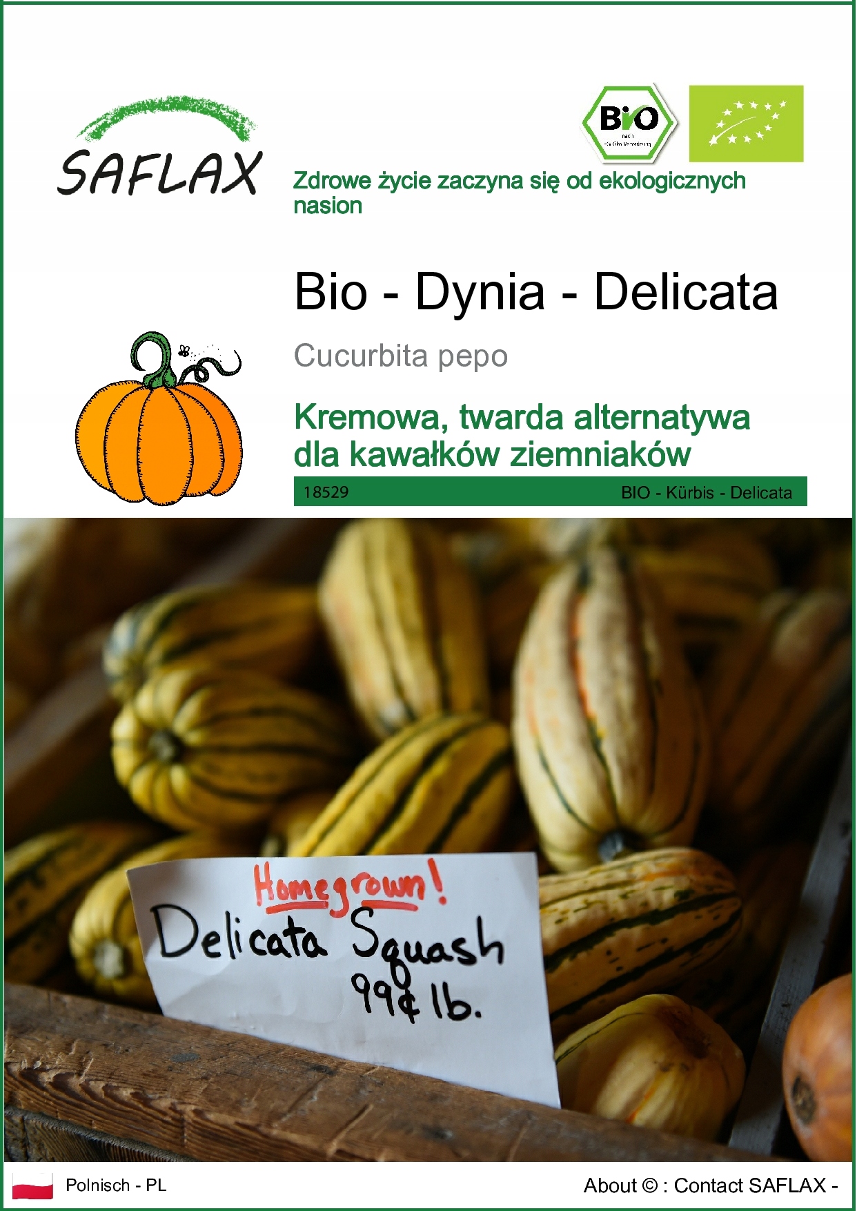 SAFLAX - Dynia - Delikatna - 6 Nasiona - Cucurbita