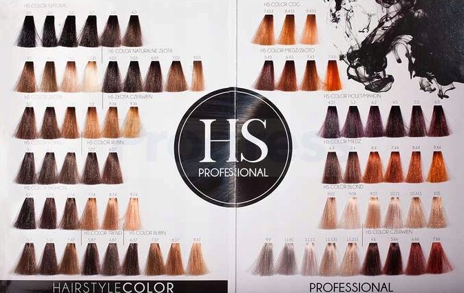 HS PROFESSIONAL HAIR STYLE COLOR 100ml farba EAN (GTIN) 8032755480044