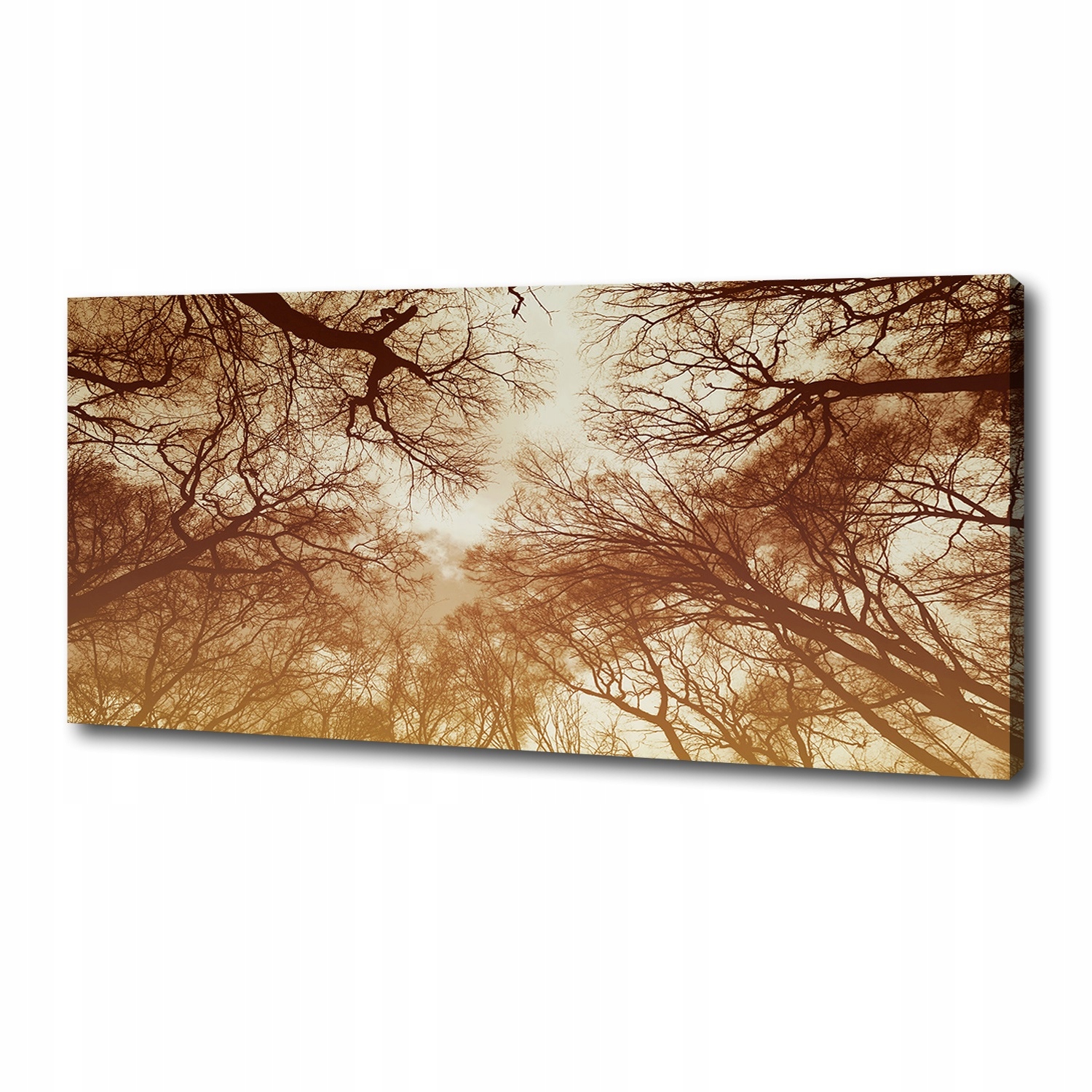 

Obraz zdjęcie na płótnie nowoczesny Las 125x50 cm