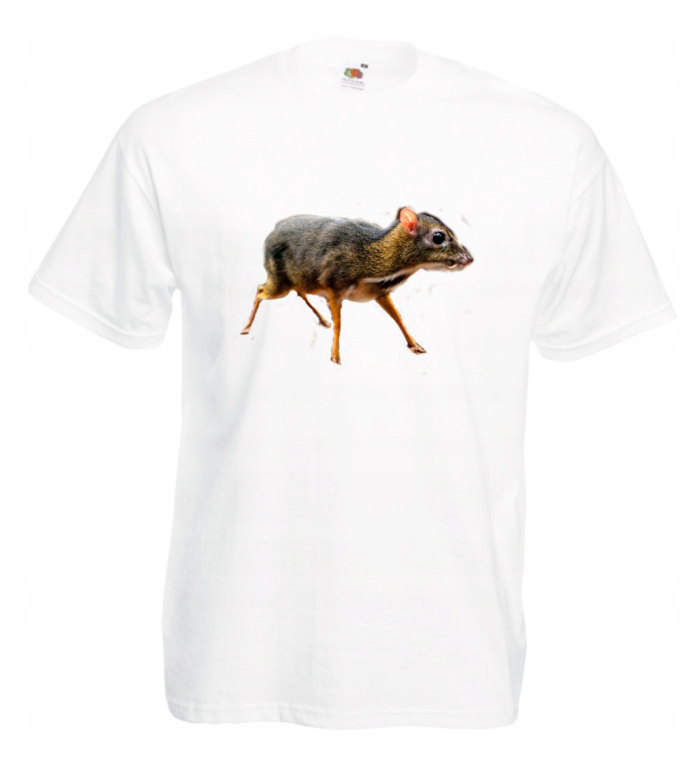 

Koszulka Myszojeleń Kanczyl Srebrnogrzbiety r XL