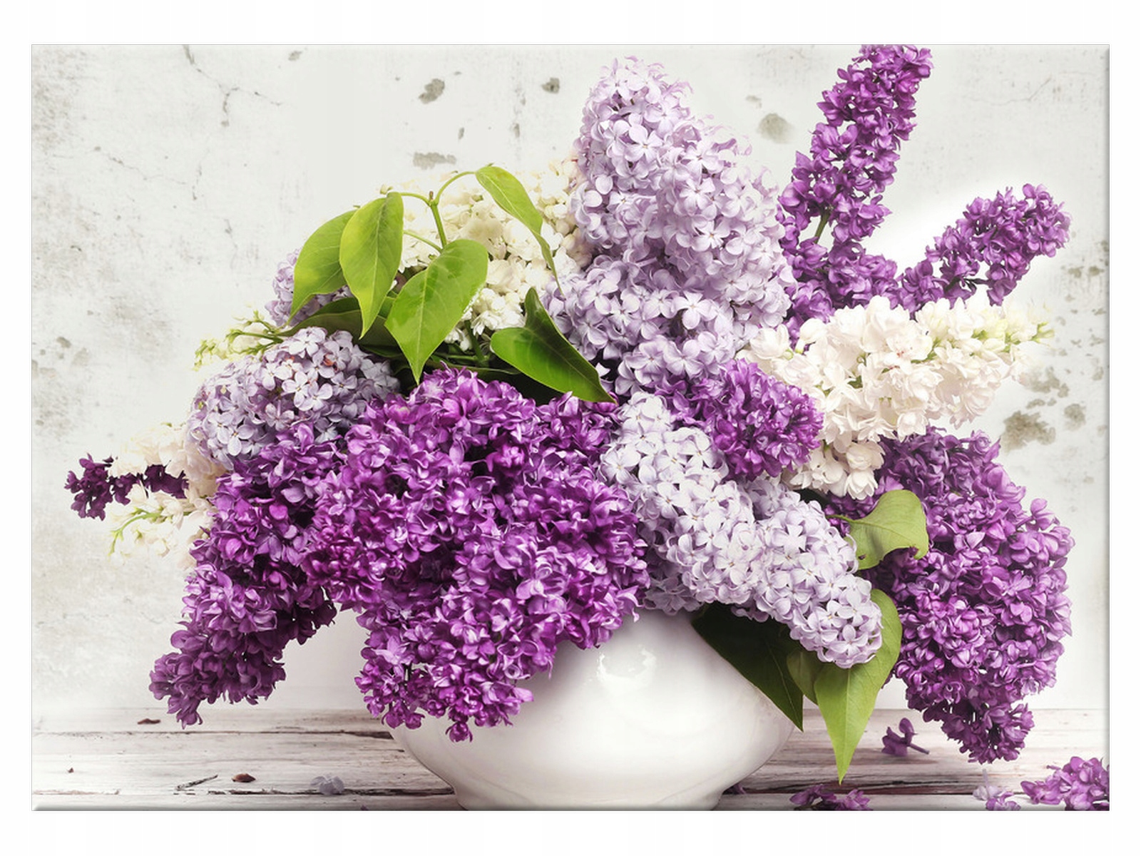 

Obraz Bez 70x50 Rośliny Nowoczesny na płótnie