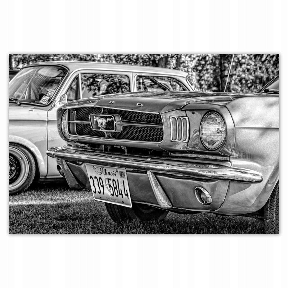 

Plakaty 60x40 Ford Mustang
