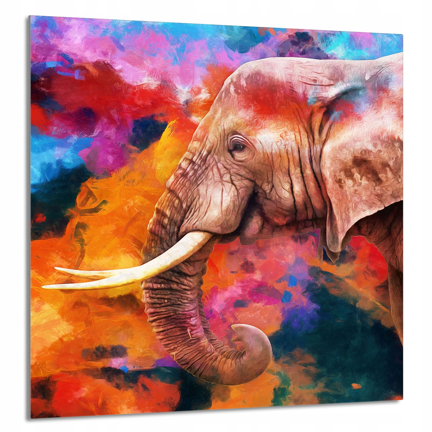 Skleněný Panel Do Kuchyně 60x65 Slon Tvrzené Sklo