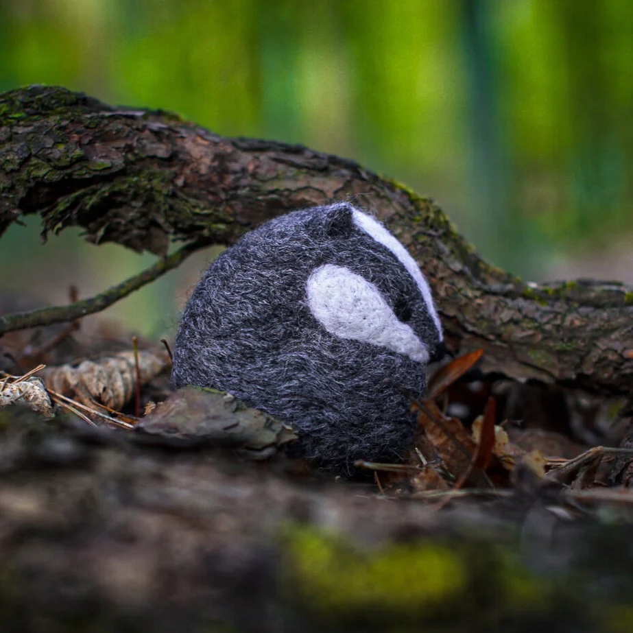 Kreativní sada na plstění Agna Wool Art Jezevec