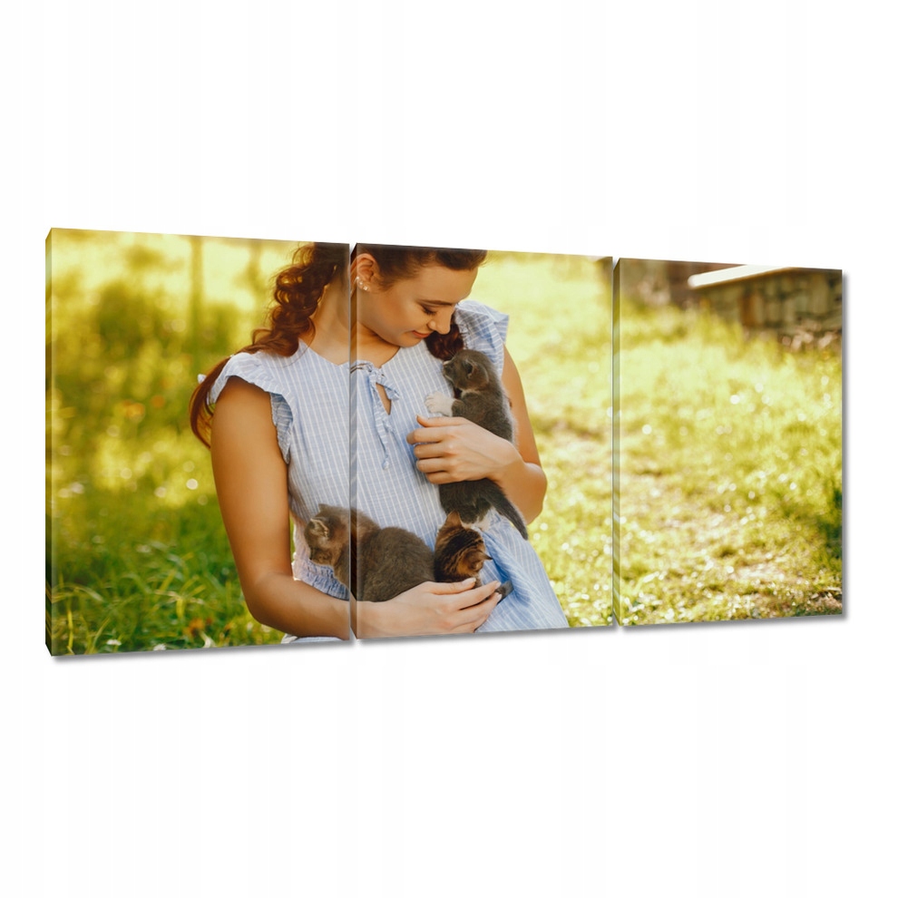 

Obrazy 120x60 Kot Kotek Kotki Kicia