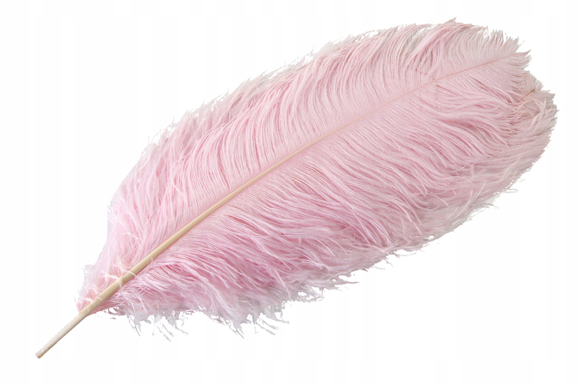 Dekorační Příběh Strusie růžový 60cm