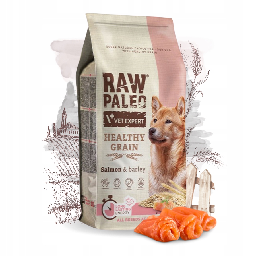 Raw Paleo Healthy Grain Adult krmivo pro dospělé psy Losos 10 kg