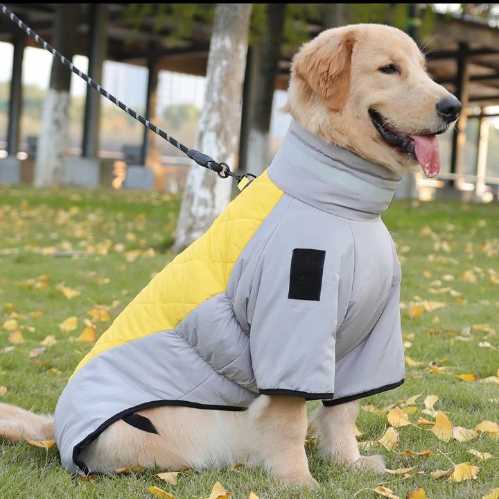 Levně Zimní bunda pro psa Fishprincess voděodolná XL premium žlutá