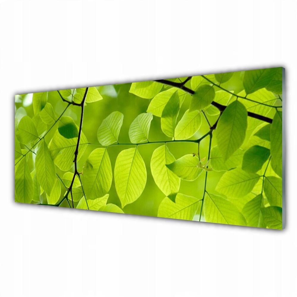 

Fotoobraz z grafiką 125x50 Liście Natura Roślina