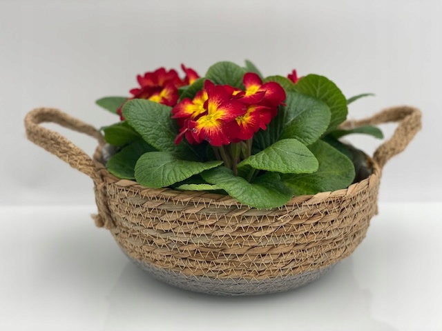 OSŁONKA DONICZKA MISA BOHO TRAWA SZNUREK KPL3 SZT Marka Ecodeco Import