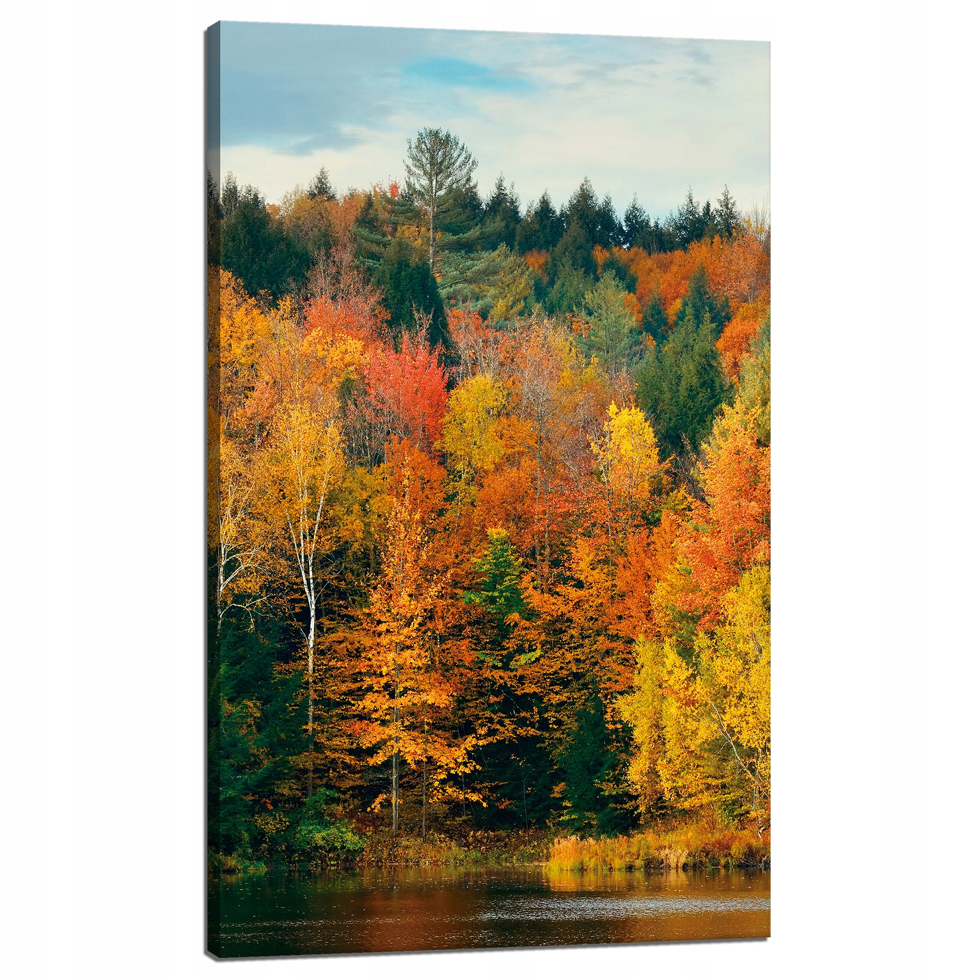 Obraz na plátně Barevné listy Stromy Podzim Příroda 60x100 cm