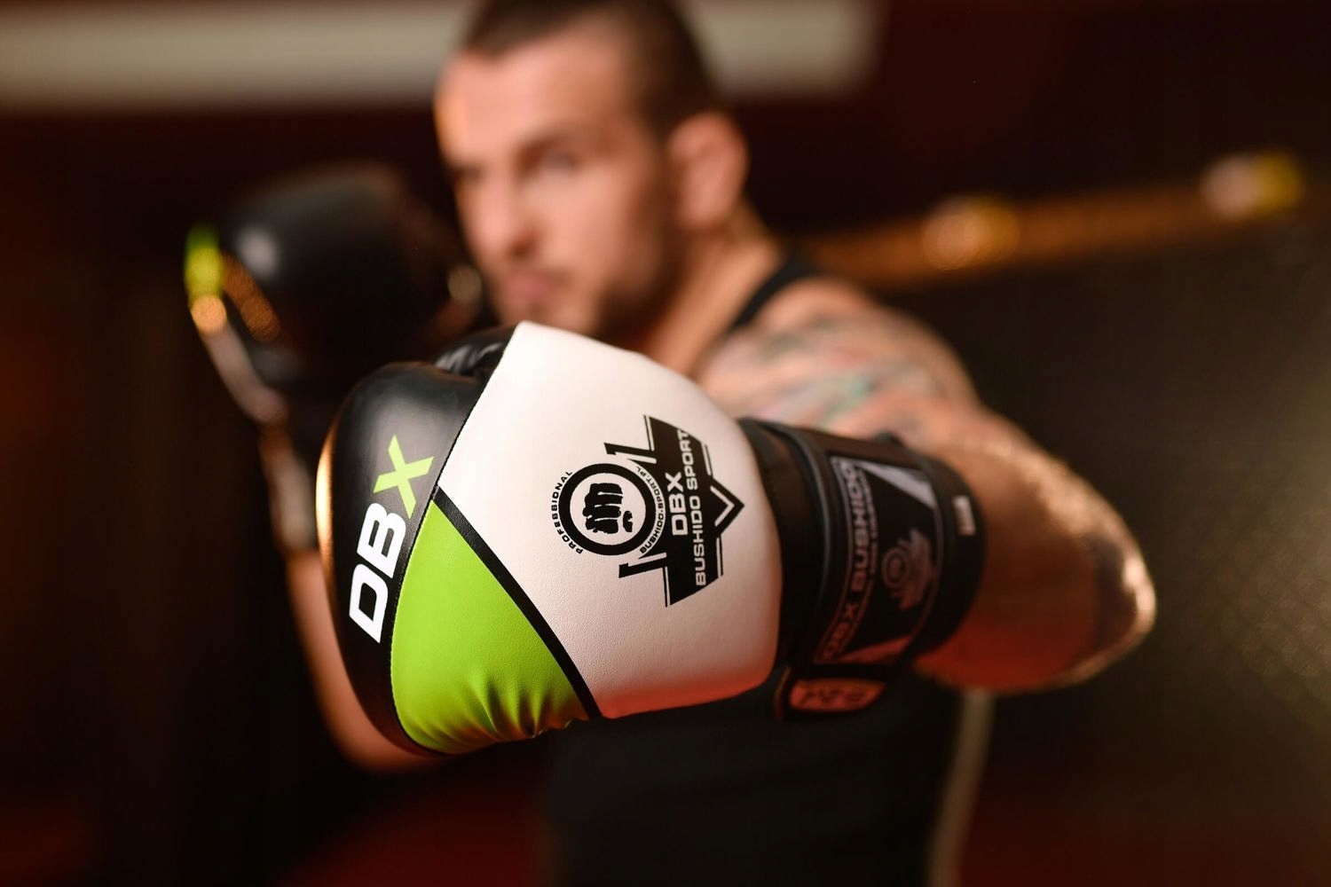 Rękawice bokserskie B-2V6 BUSHIDO 10 OZ Model B-2v6