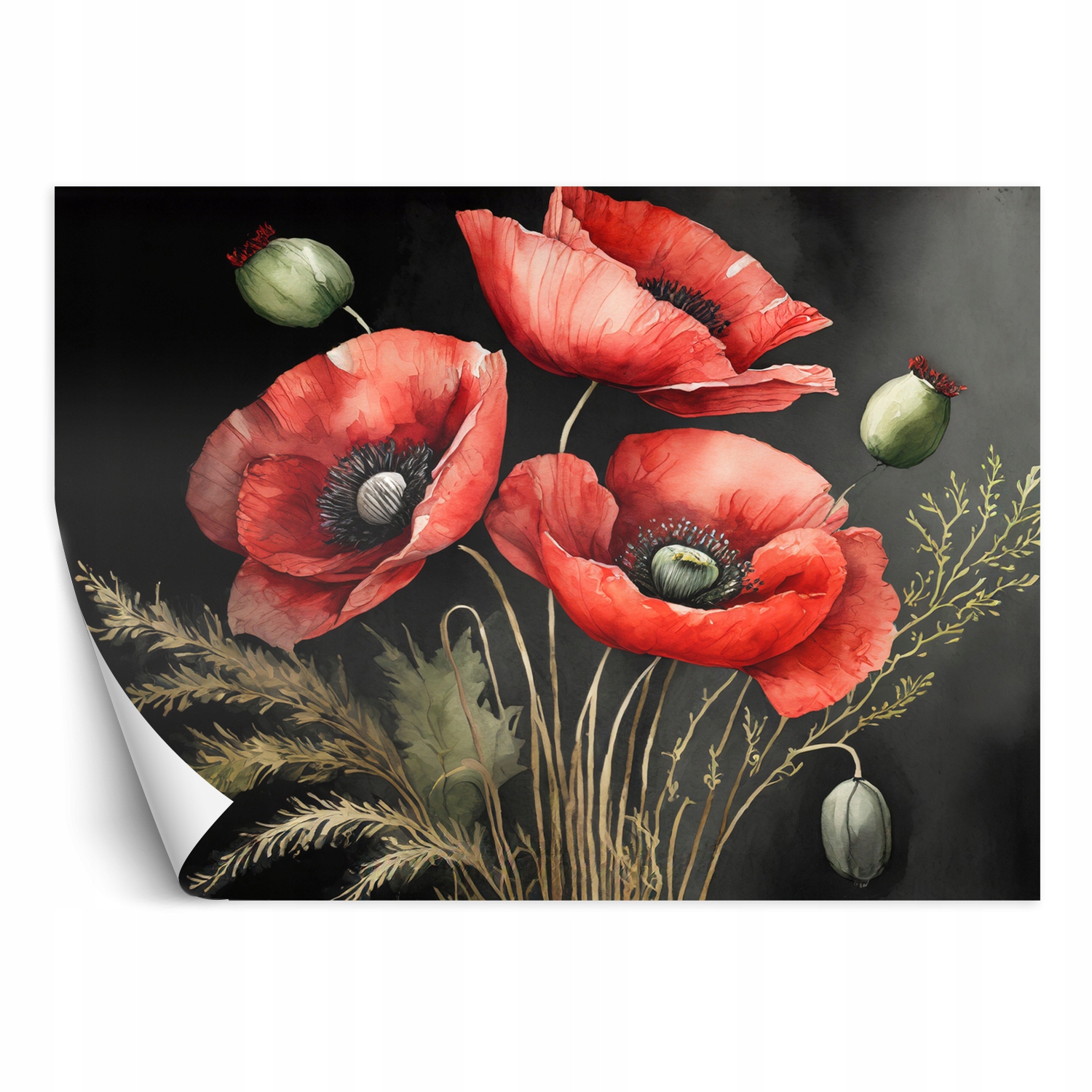 Fototapeta, Malowane czerwone maki 350x245