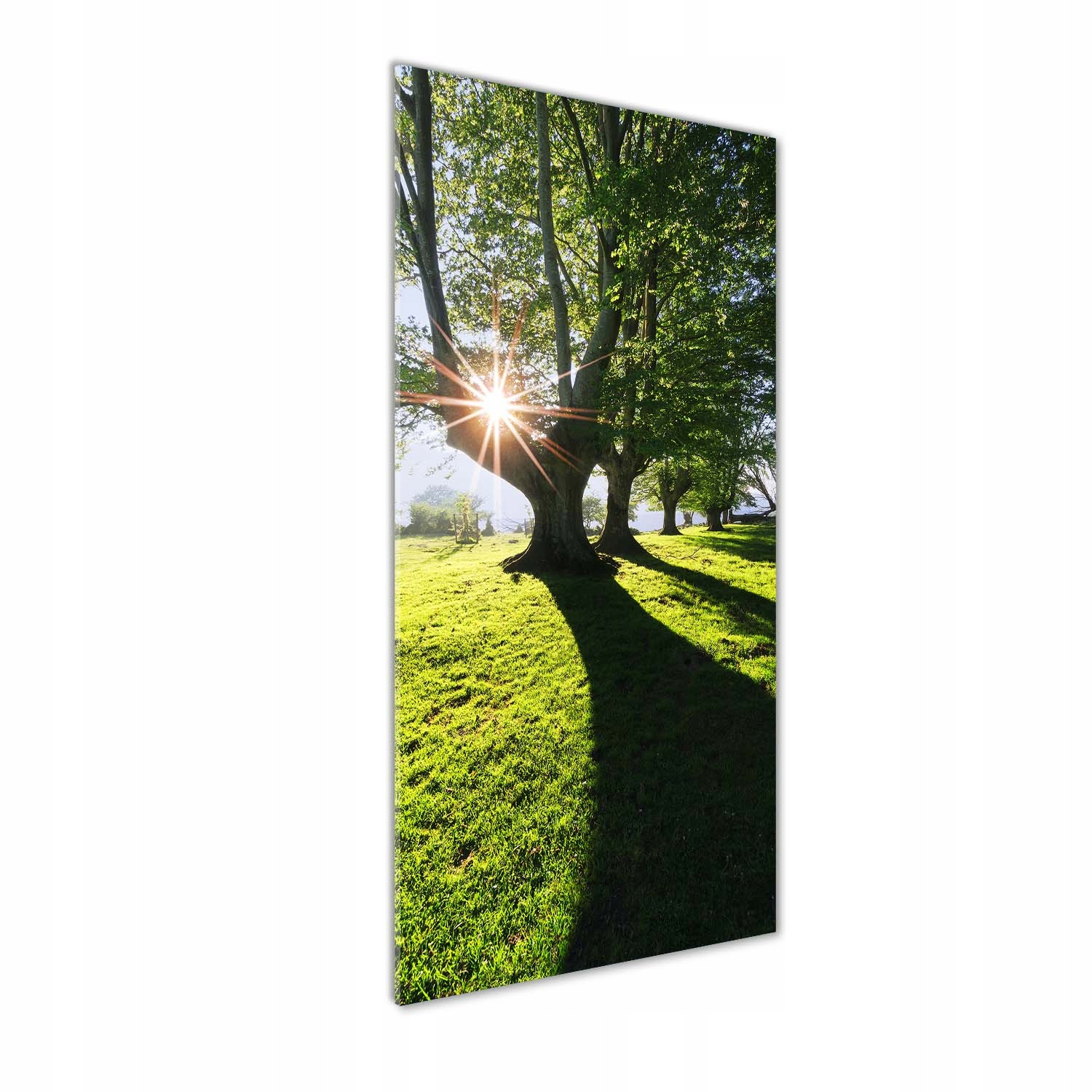 Moderní obraz na akrylu Park 50x125 cm