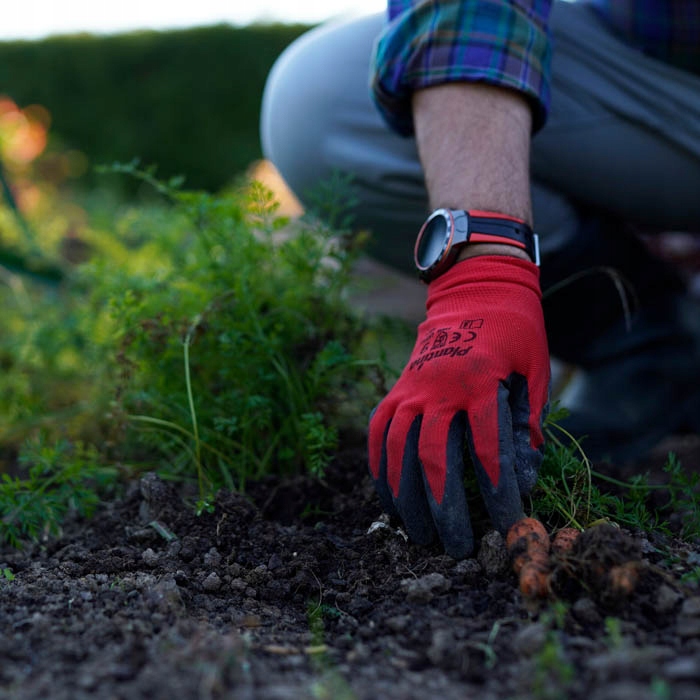 RĘKAWICE OCHRONNE ROBOCZE OGRODNICZE OGRODOWE GUMOWANE OGRÓD KOBIECE R. 7 Rodzaj rękawice