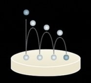 51B5UR ELLIPSE siodełko + doskonałe zawieszenie Płeć kobieta