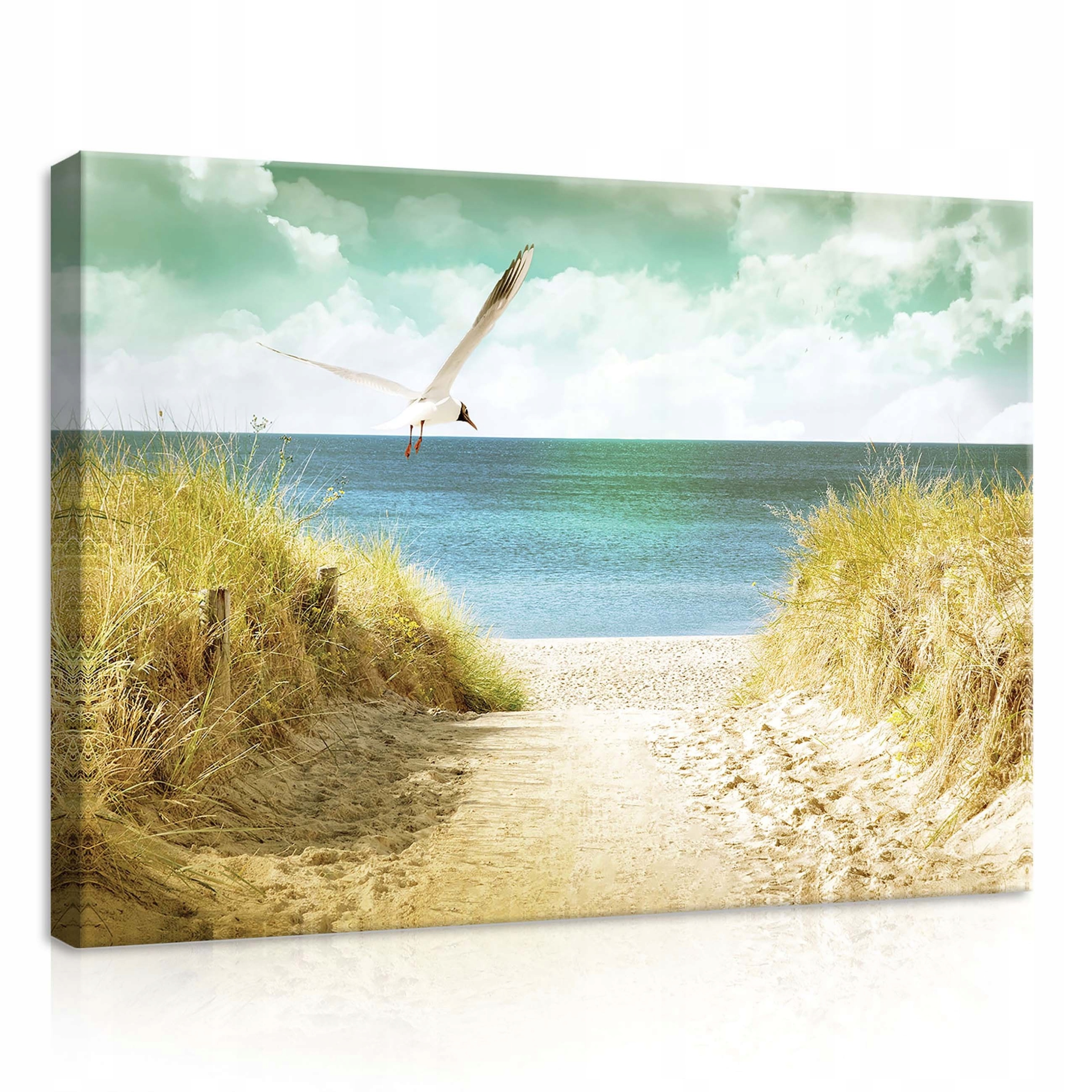 Obraz 70x50 Mořská krajina pláž rack duny moře léto příroda klid