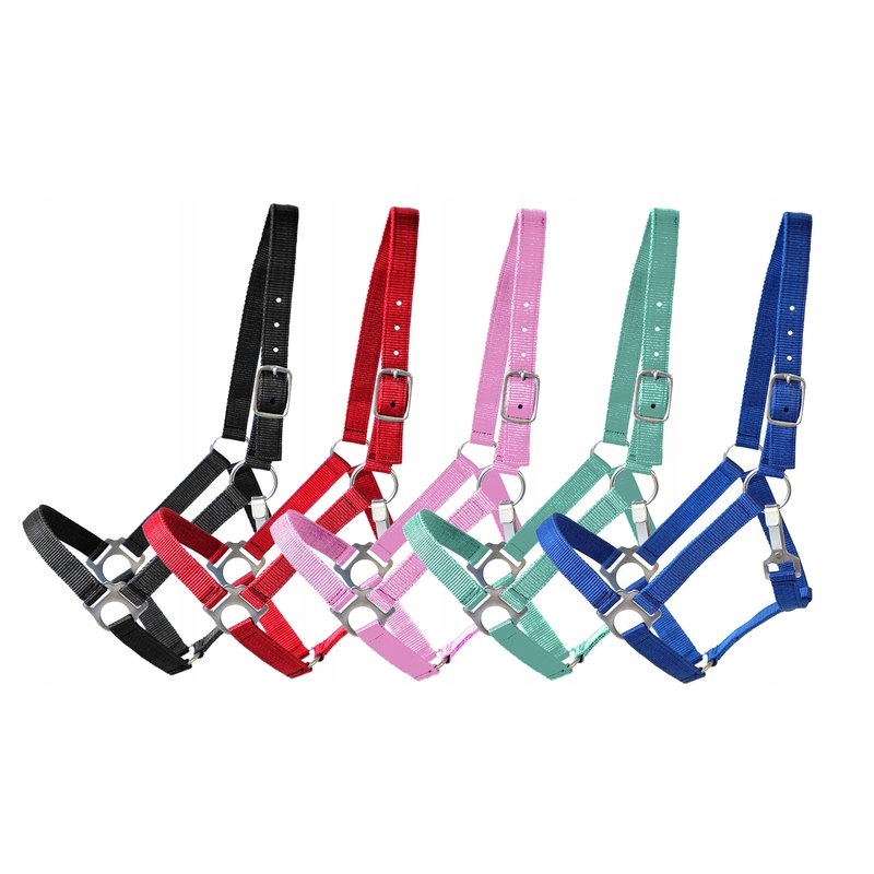 MOCNY KANTAR DLA KONI Z REGULACJĄ DEER PET RÓŻNE KOLORY FULL zielony