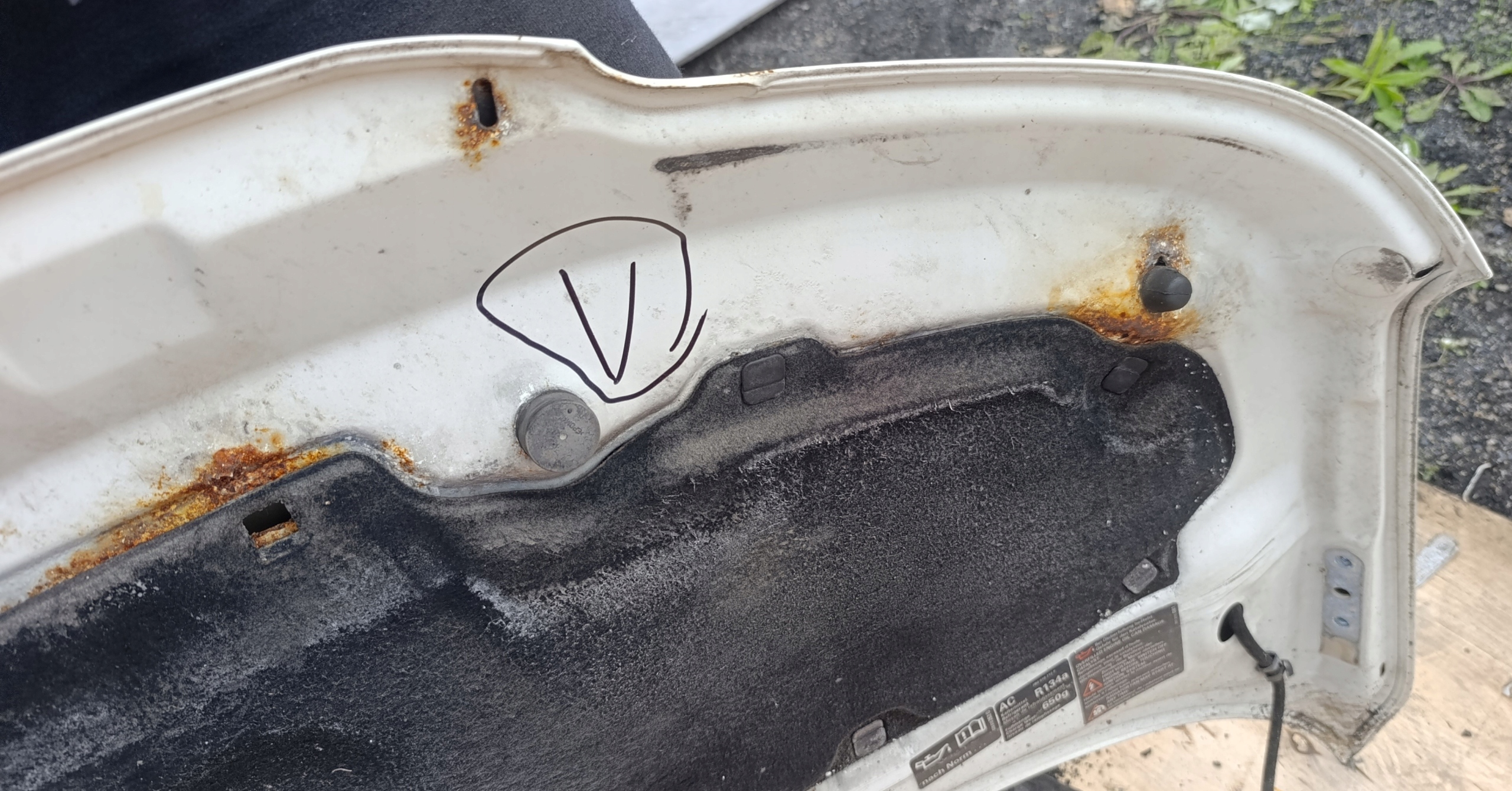 VW T5 bonnet biala