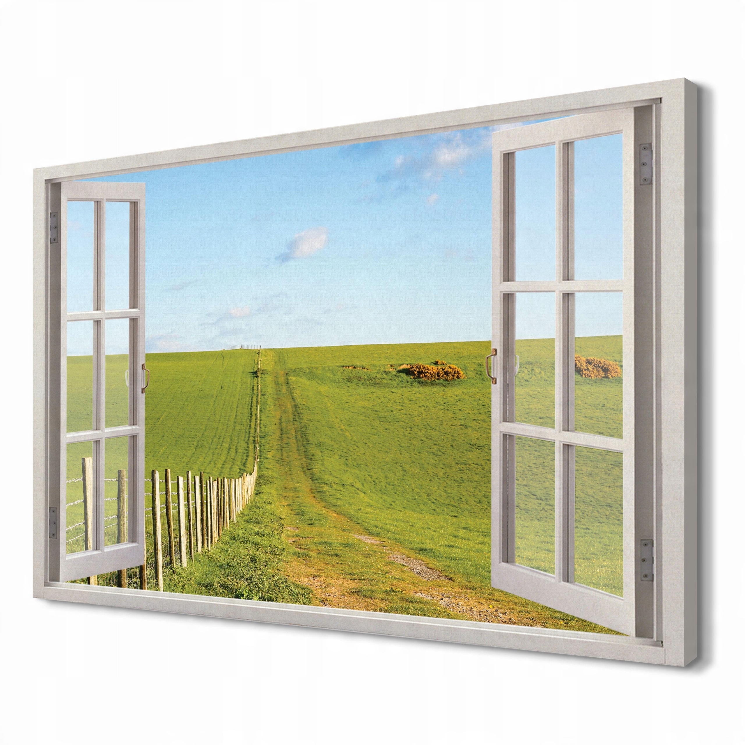 

Pastwisko łąka Obrazy drukowane na płótnie 120x80