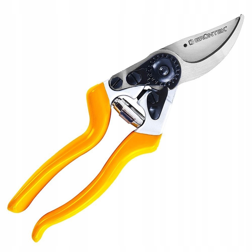 5c4ced584609986678c2ef51cd15