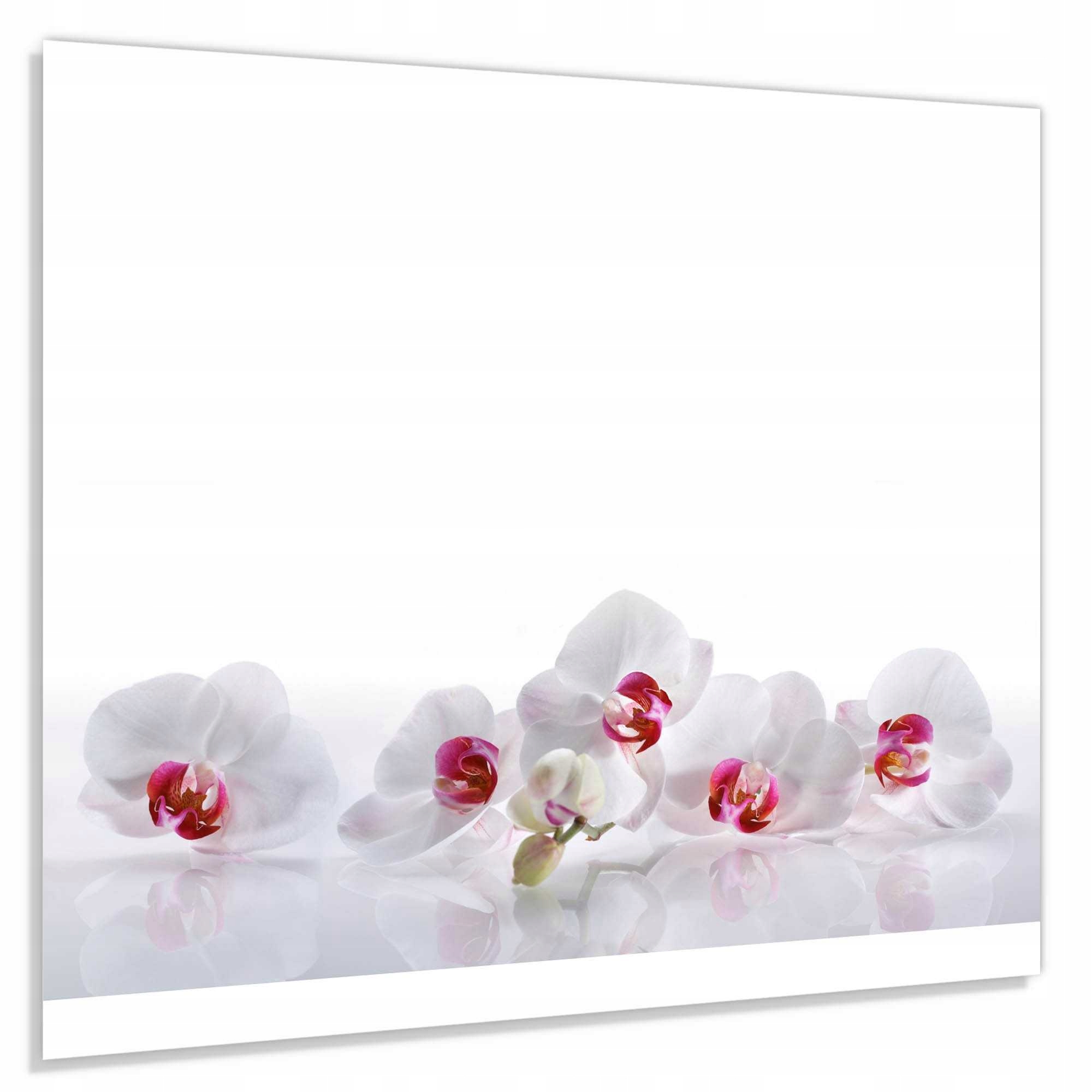 Panel szklany hartowany 60x60 Białe storczyki 2