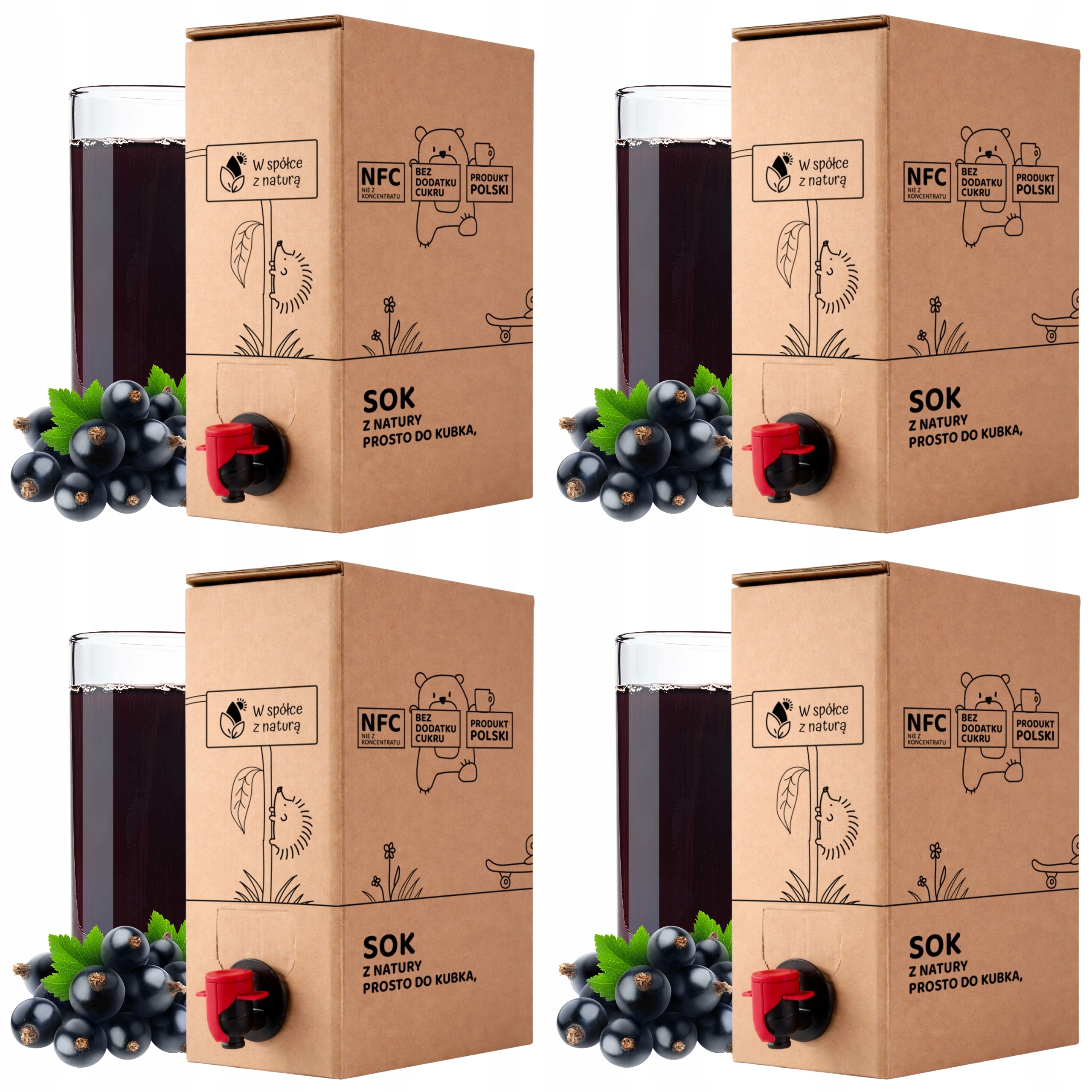 Sok z Czarnej Porzeczki Tłoczony 5L Naturalny Nfc Czarna Porzeczka zestaw