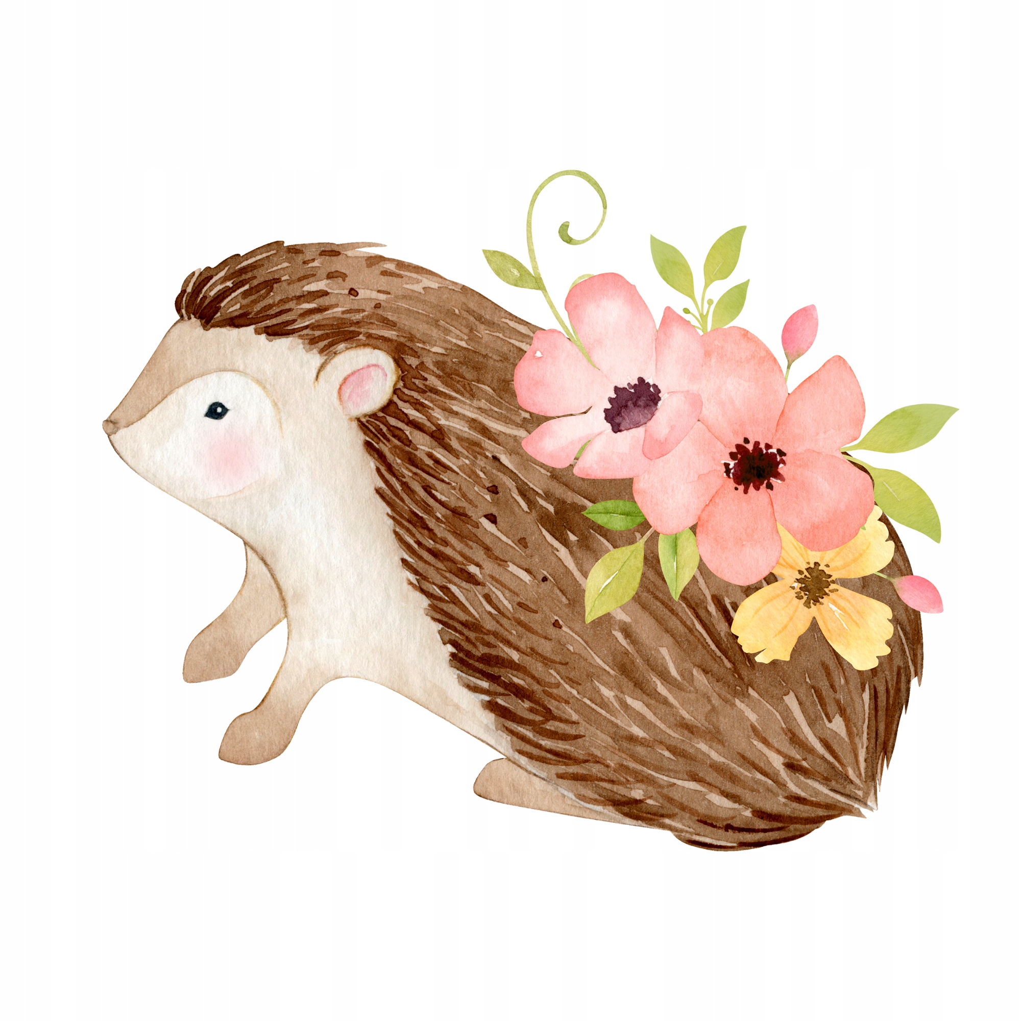 

Naprasowanka Jeż Jeżyk Naklejka Na Odzież 6