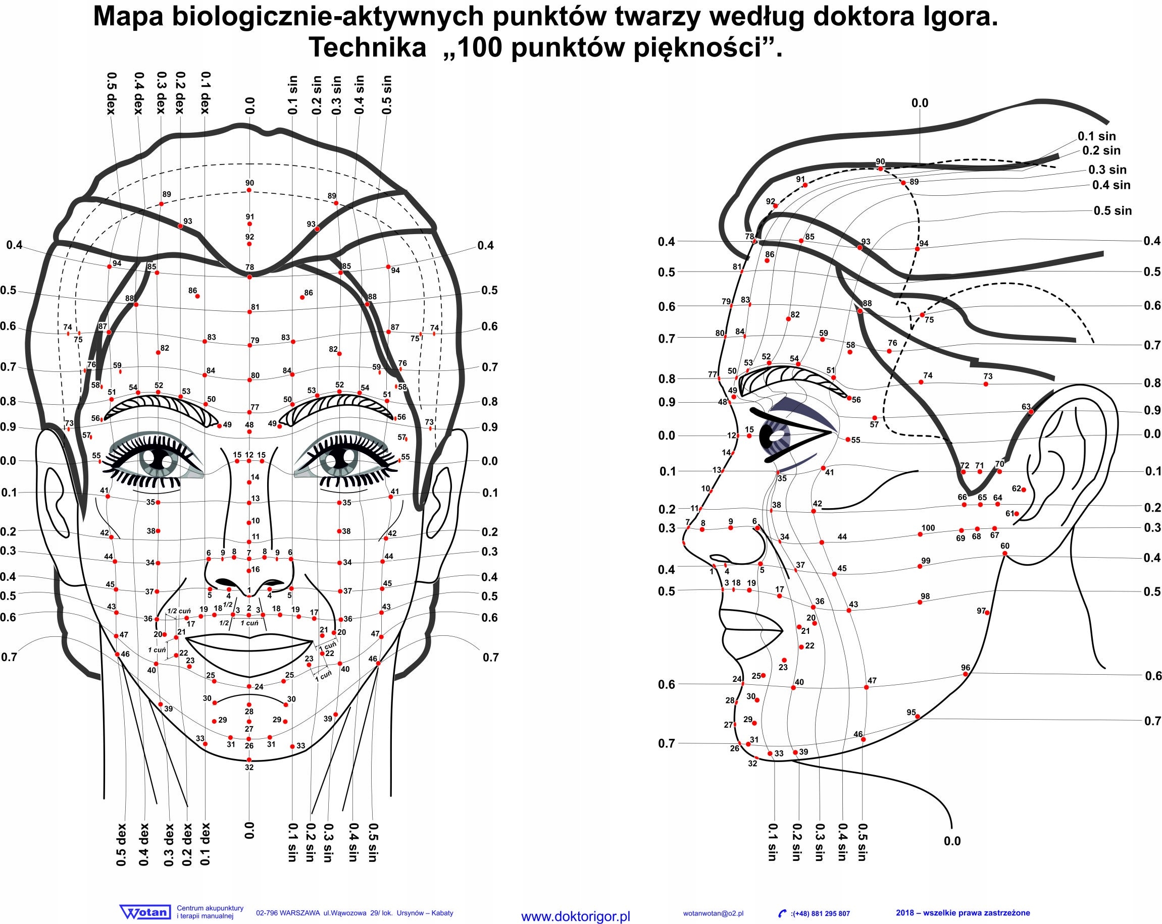 Plakat 100 biologicznie aktywnych punktów twarzy
