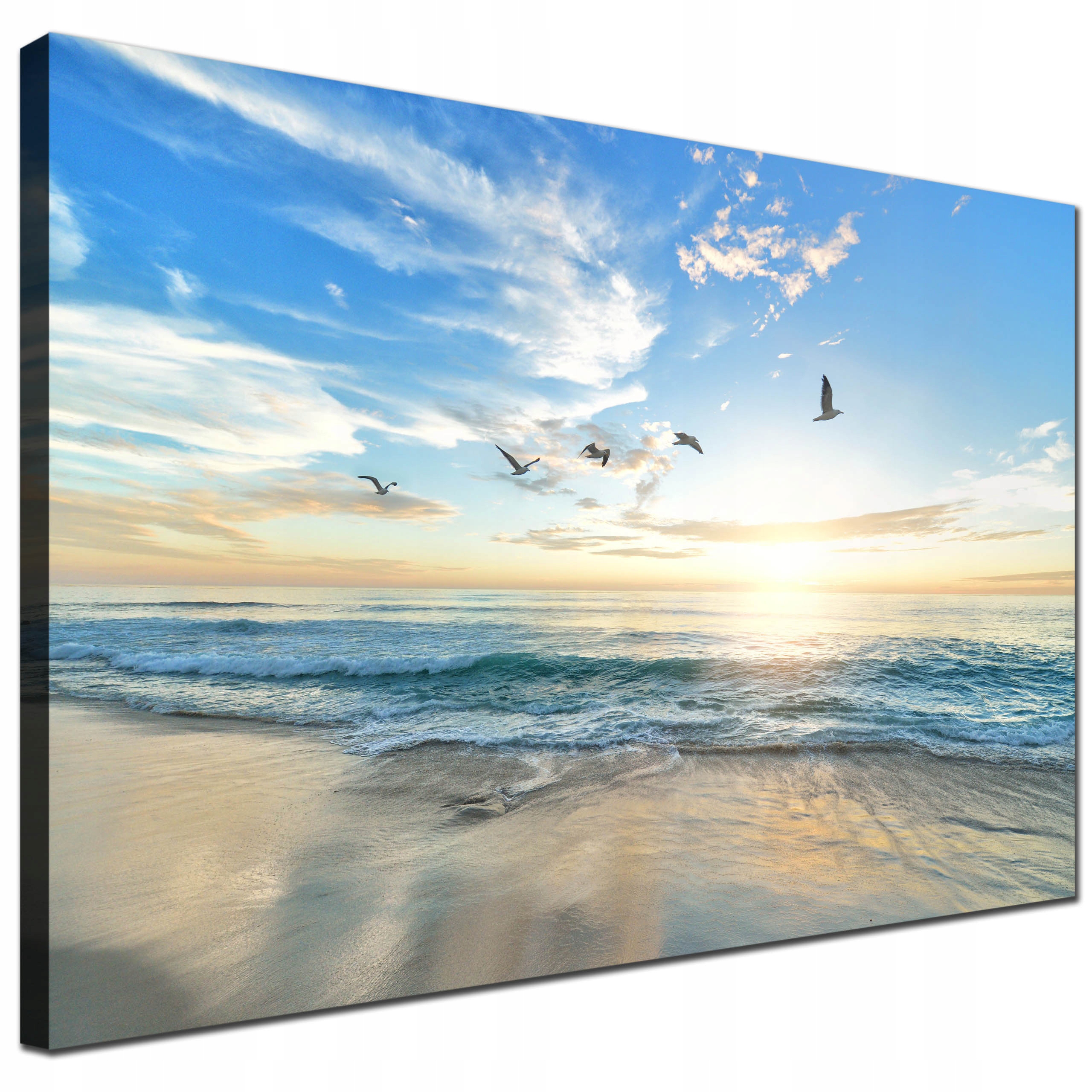 

Nowoczesny obraz Plaża Ptaki Canvas