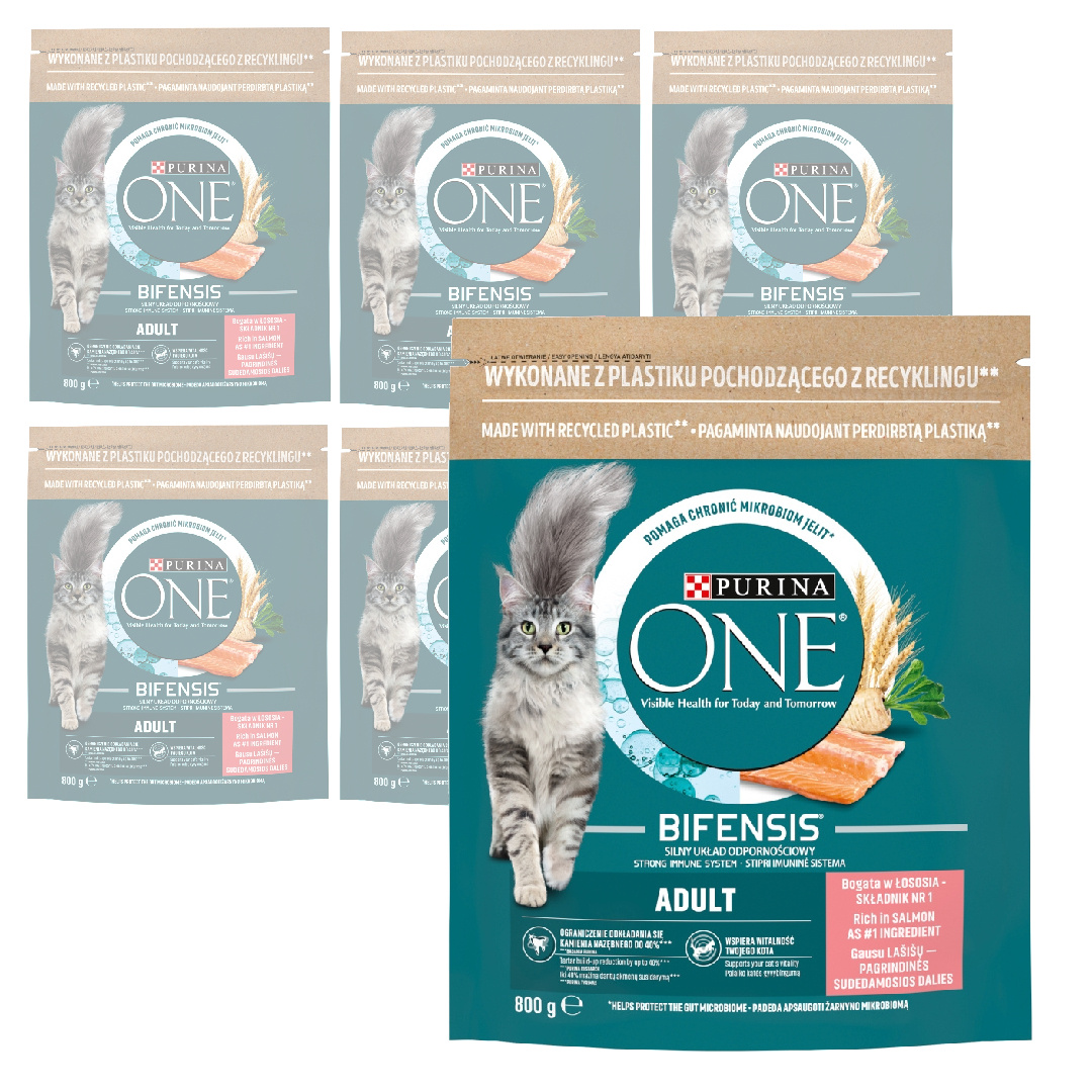 Levně Purina One Bifensis Adult 6x800g Suché Krmivo Pro Kočky s lososem