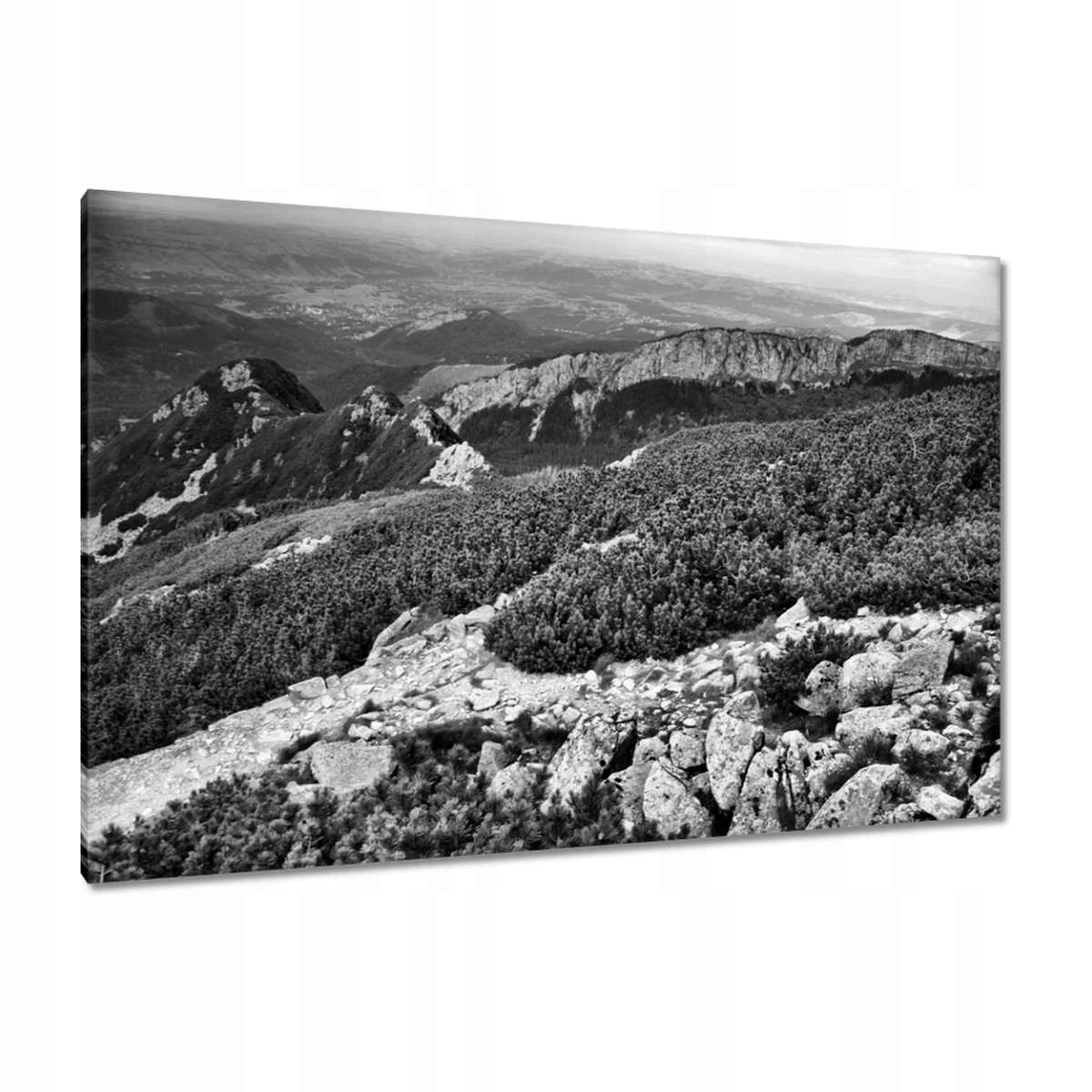 Obrazy 120x80 Tatry Polské hory Pohled