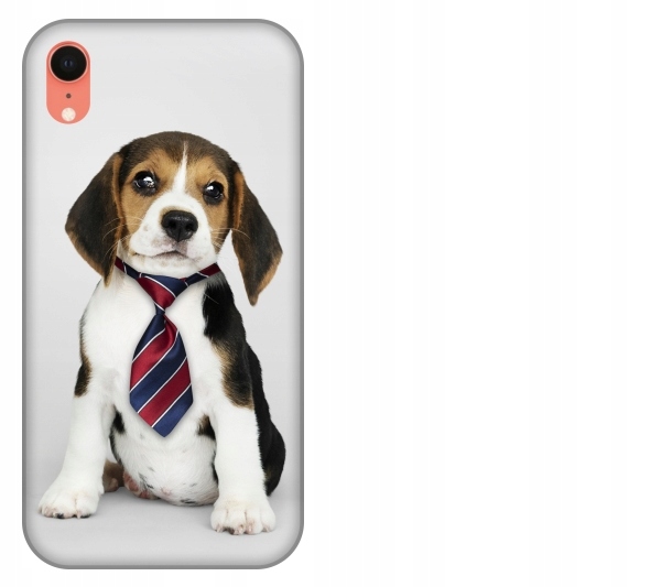 

Etui pokrowiec iPhone Xr Pies beagle szczeniak