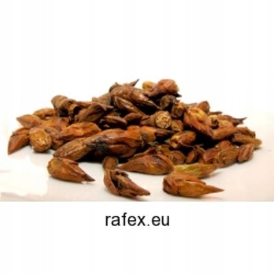 Levně Topolové pupeny 1 kg Rafex