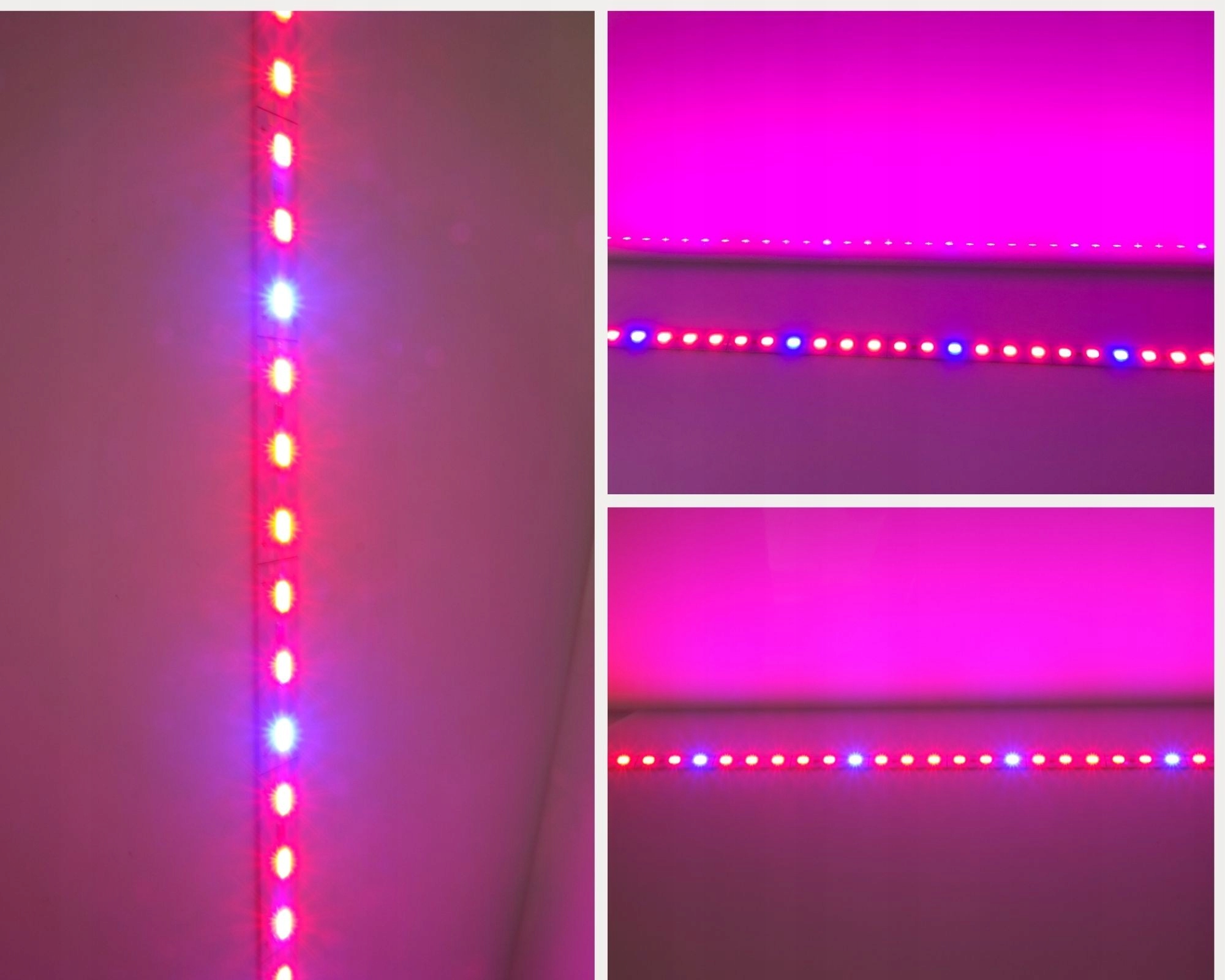 Taśma LED GROW PRO 5630 5:1 do wzrostu roślin 0,5m Marka MEiSSA