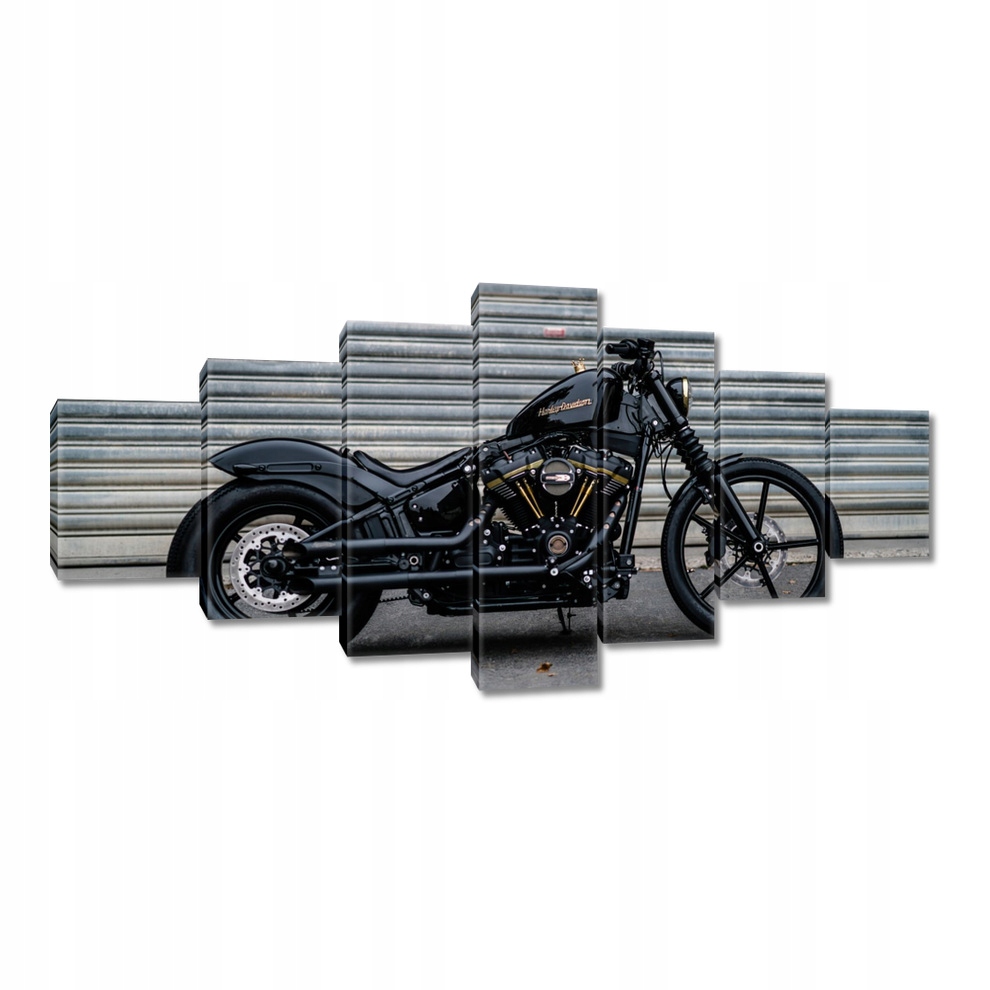 

Obrazy 210x100 Harley Davidson Motocykl