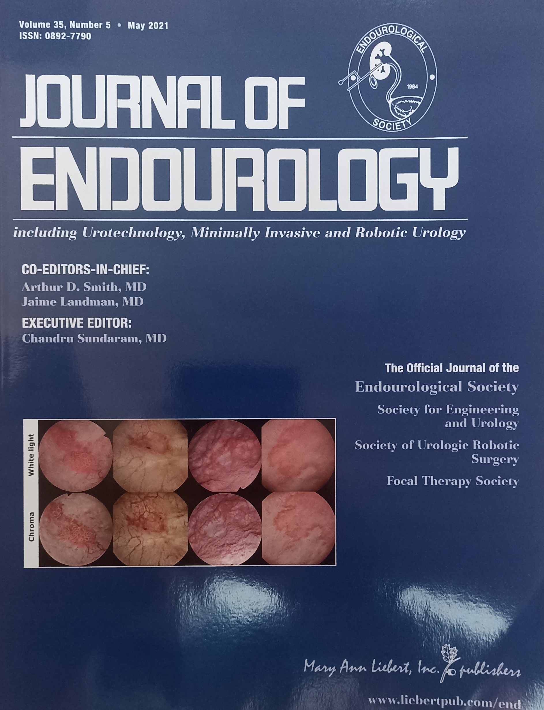 Journal of Endourology Volume 35 Number 5 2021 Eng