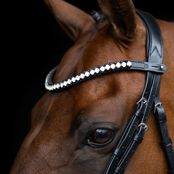Naczółek do ogłowia dla konia Imperial Riding IRHMaxima grafitowy Cob