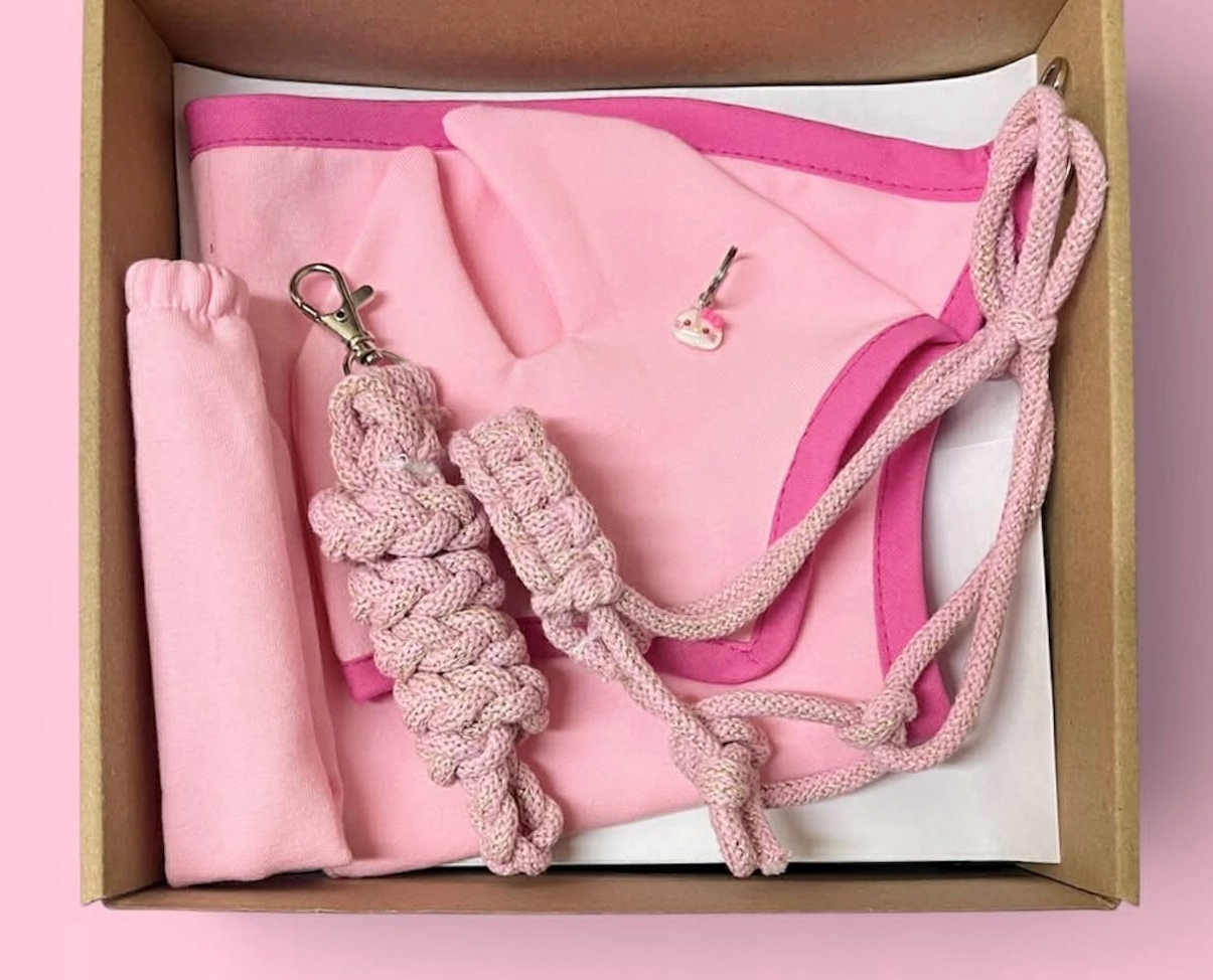 BOX Z AKCESORIAMI DLA HOBBY HORSE A4 - RÓŻOWY