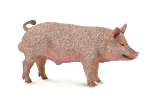 

Knur