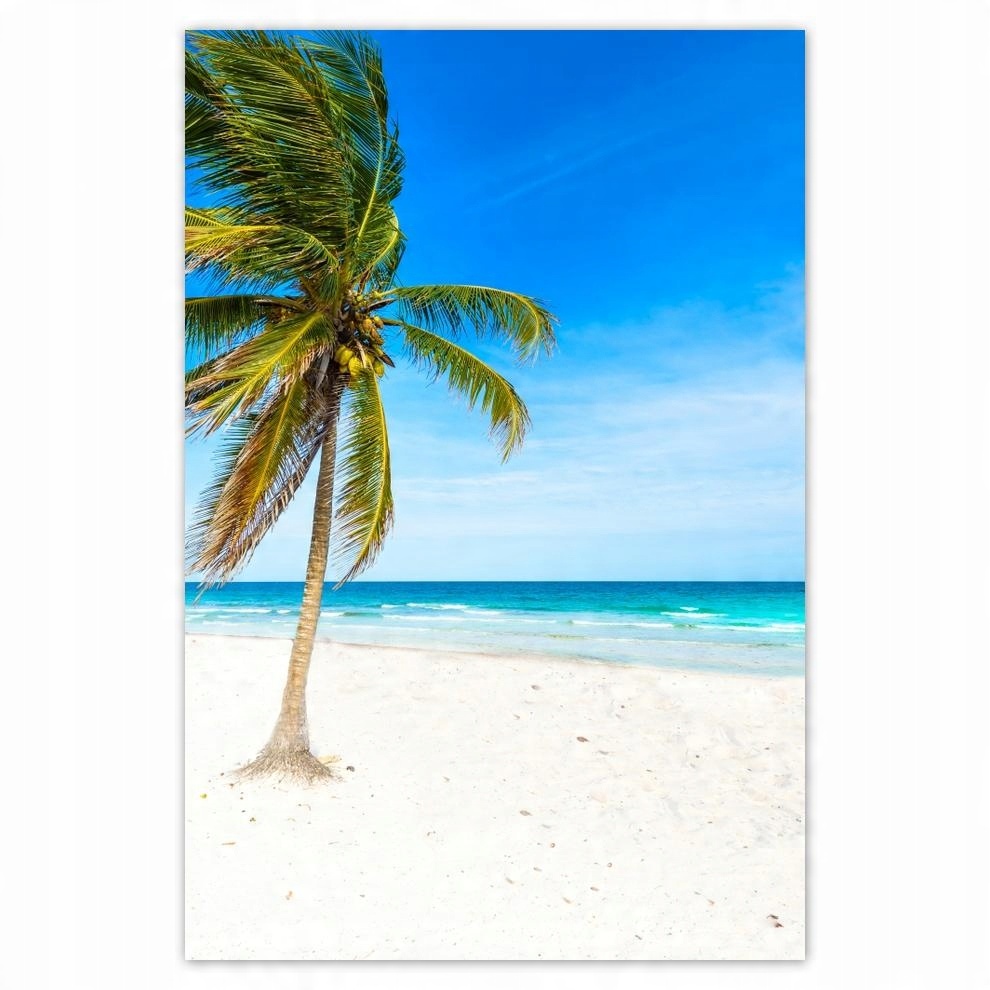 

Plakat 62x93 Tropiki Pejzaż Palma