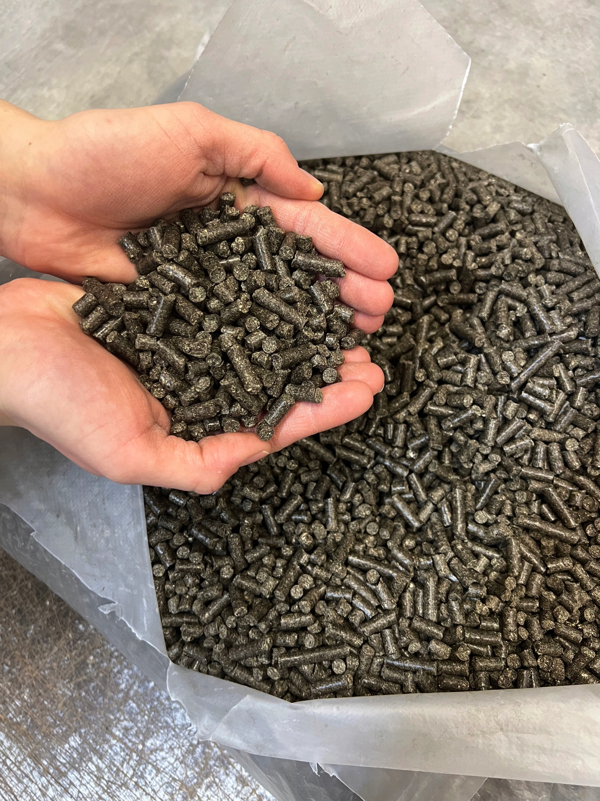 PELLET z ŁUSEK SŁONECZNIKA worek - 15 kg ECO pelet
